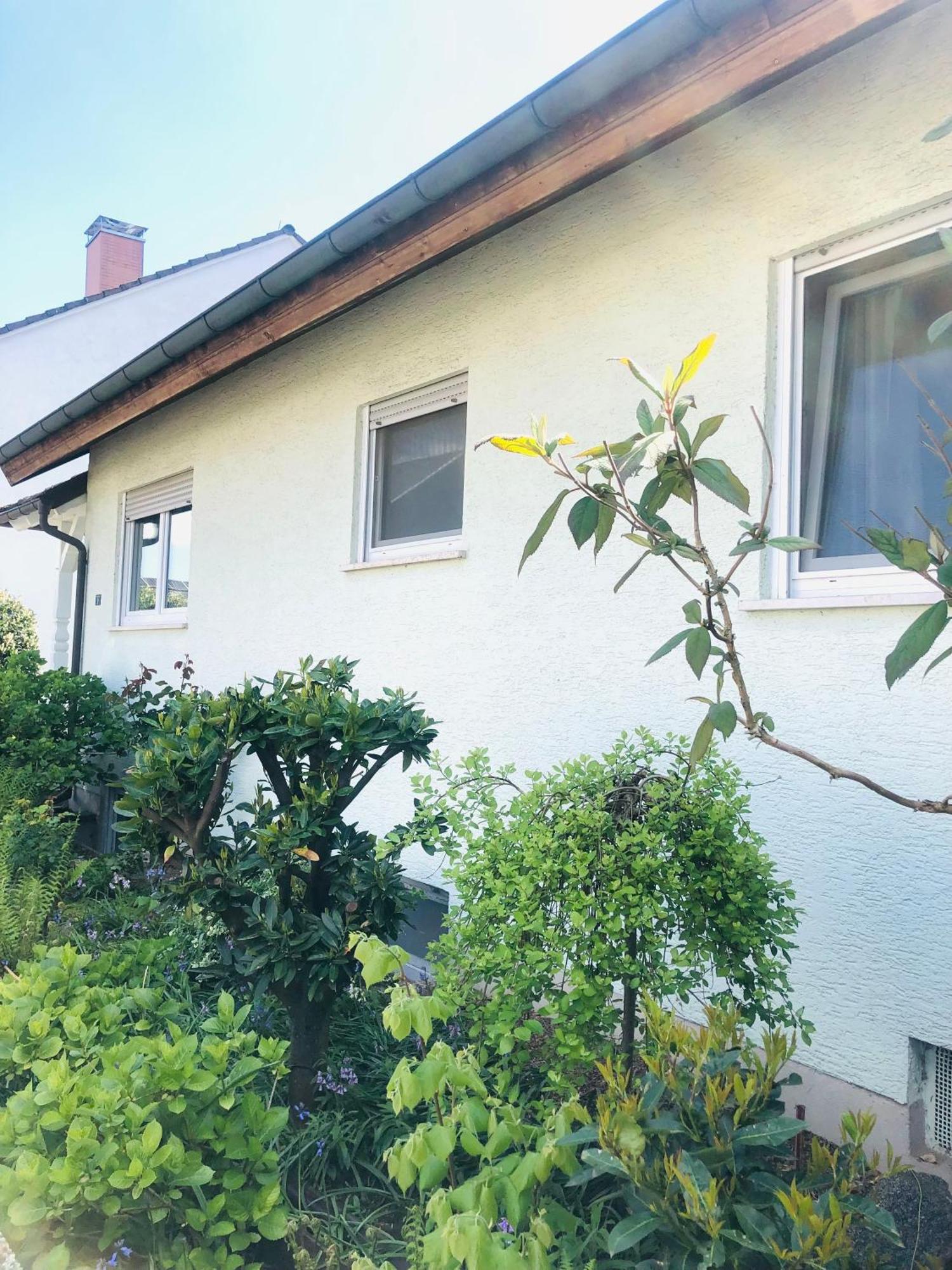 Ferienwohnung Feldmann Freckenfeld Eksteriør billede